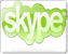 Skype���ڿ�100Ԫ�����